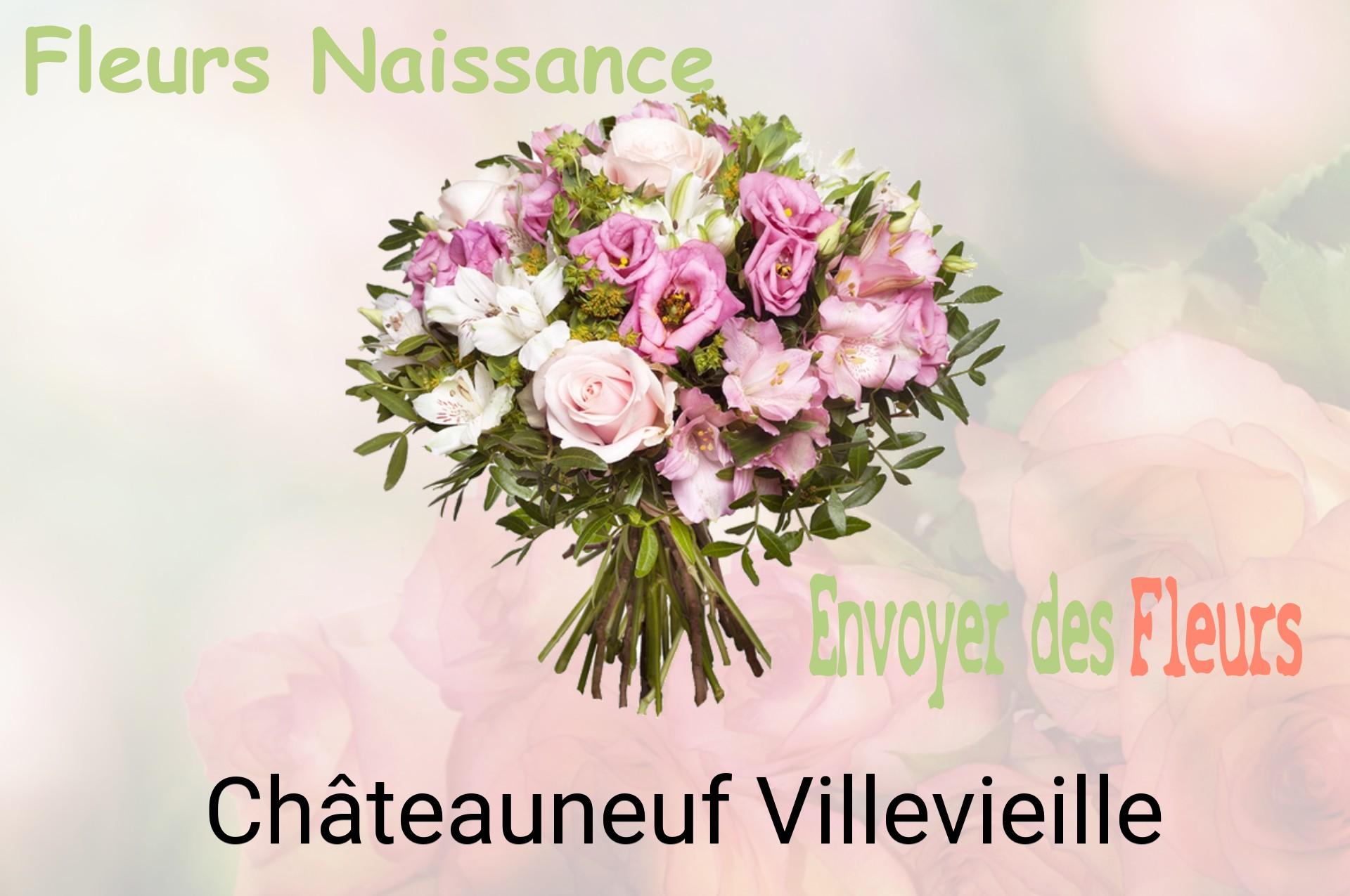 Bouquet de fleurs de naissance livré à Châteauneuf-Villevieille
