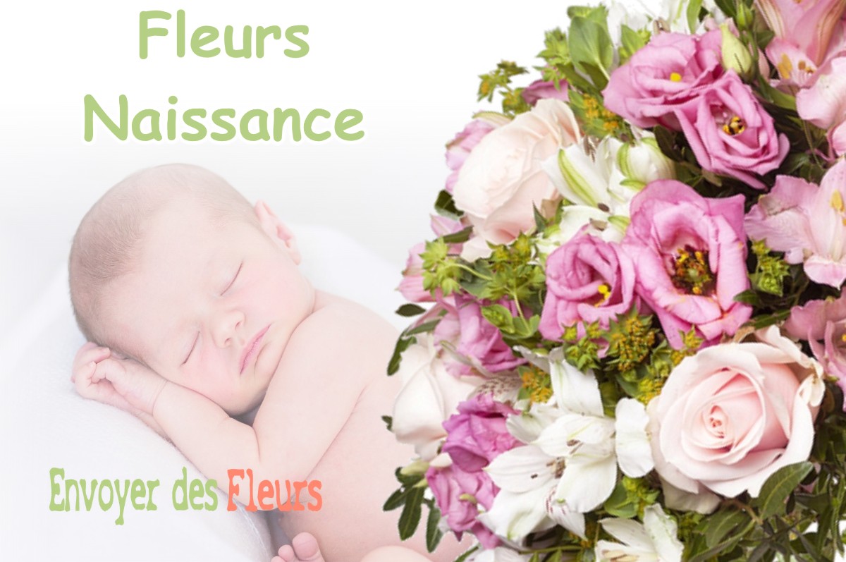 lIVRAISON FLEURS NAISSANCE à CHATEAUNEUF-VILLEVIEILLE